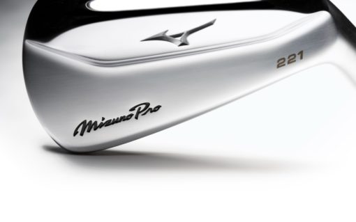 Mizuno Pro 221