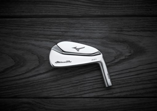 Mizuno Pro 221
