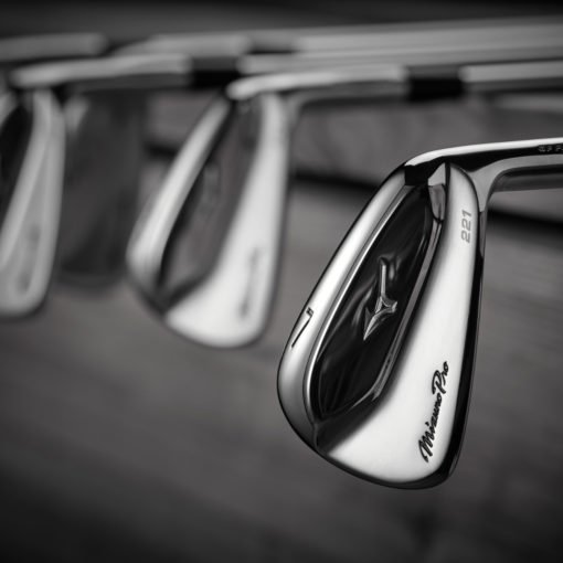 Mizuno Pro 221