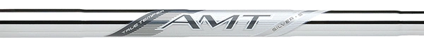 AMT Silver
